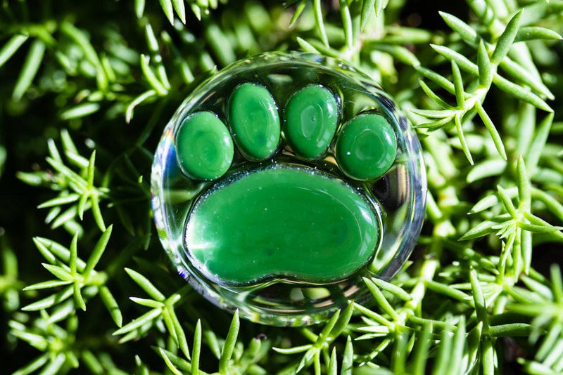 Paw Print Touch Stones with Infused Cremation Ashes